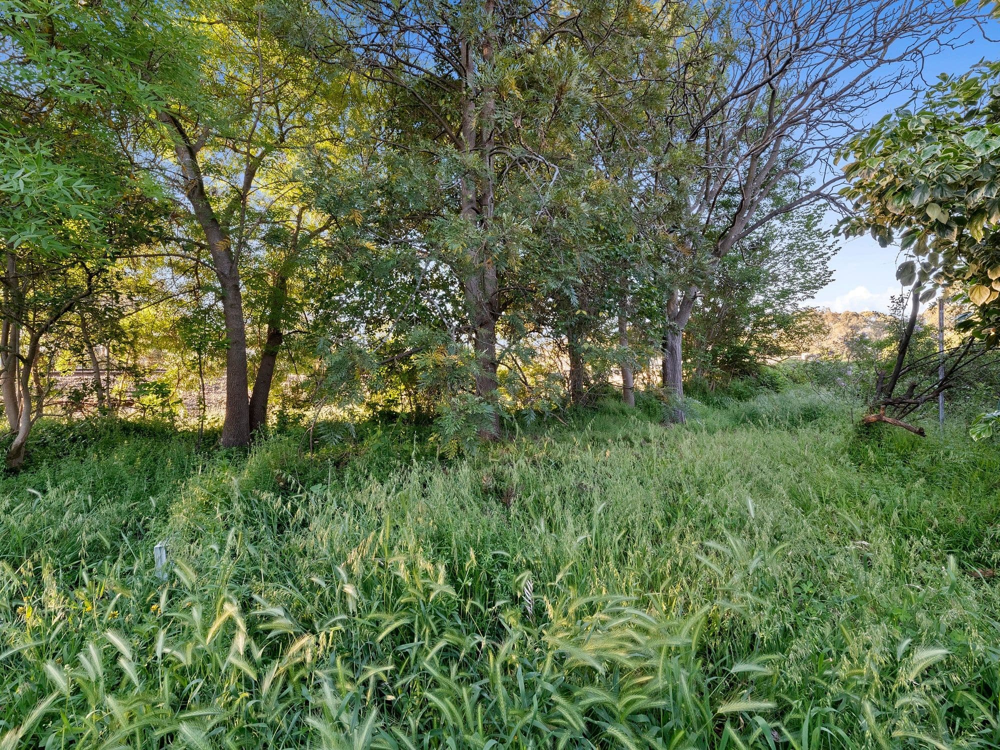 2 Arundel Street, Benalla VIC 3672, Benalla - Thumbnail 6
