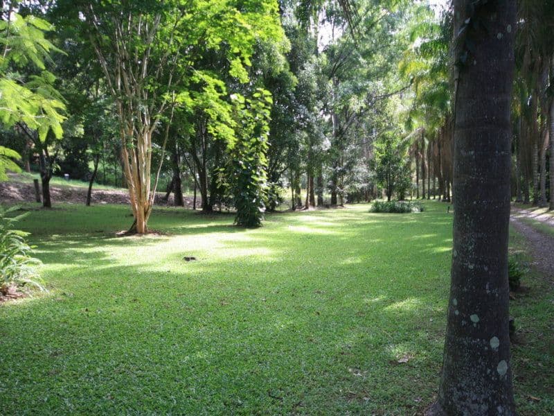 7 Beechtree Road, Black Mountain QLD 4563, Black Mountain - Thumbnail 5