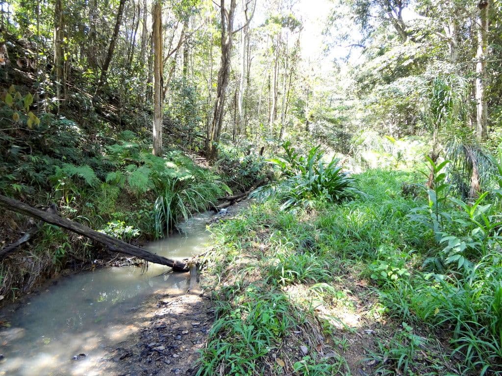 7 Beechtree Road, Black Mountain QLD 4563, Black Mountain - Thumbnail 6