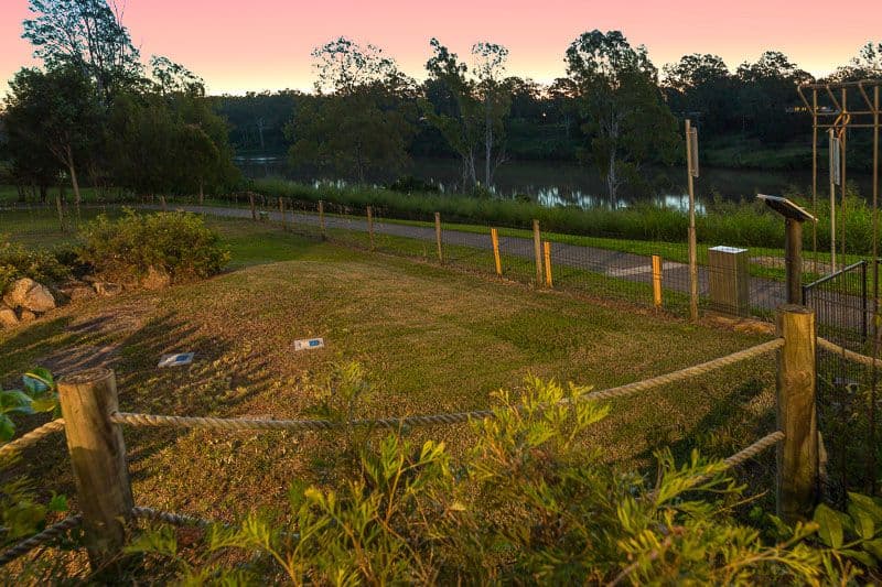 64 Derwent Place, Riverhills QLD 4074, Riverhills - Thumbnail 4