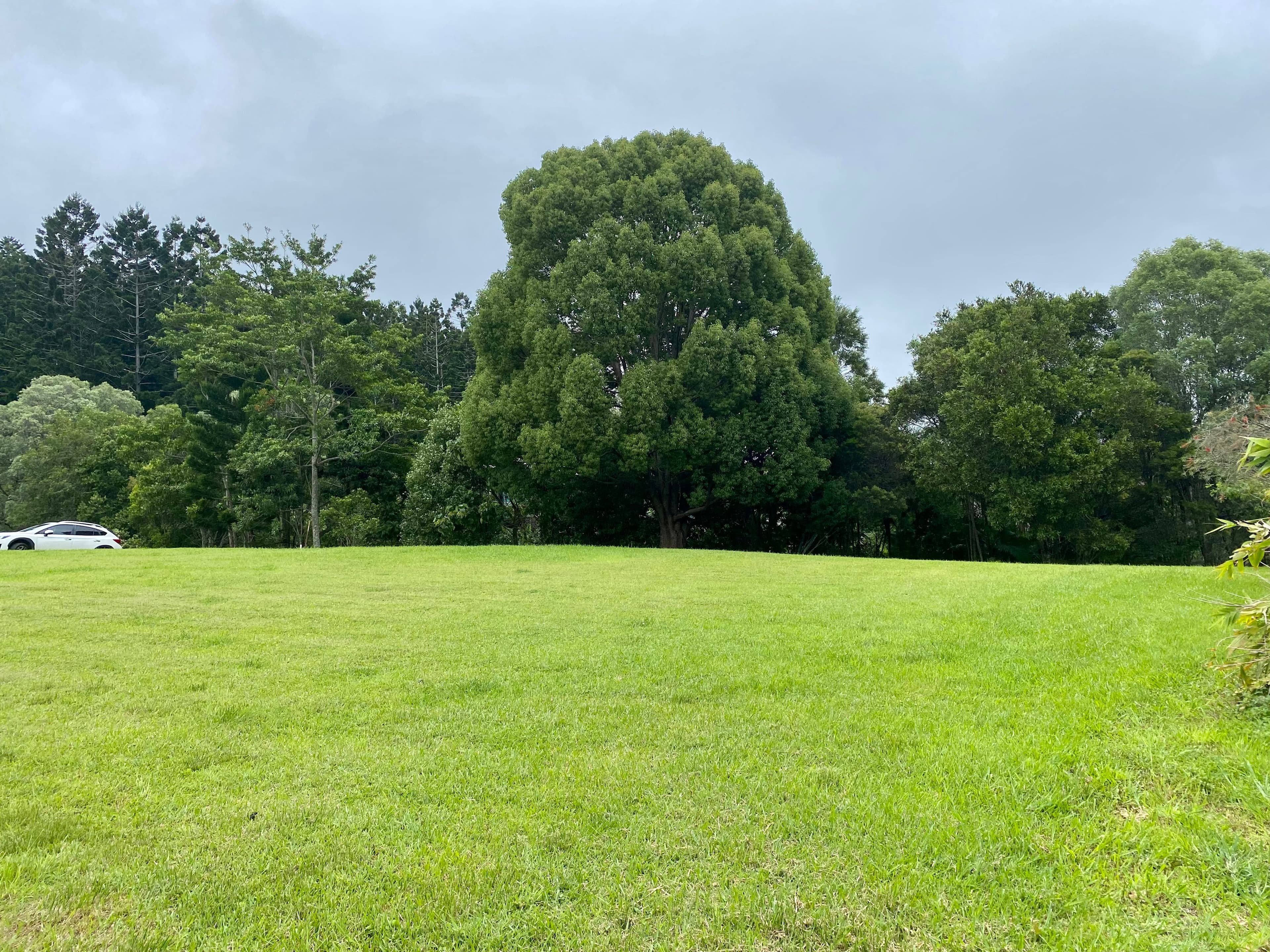 4 Booneen Burrow, Currumbin Valley QLD 4223, Currumbin Valley - Image 1