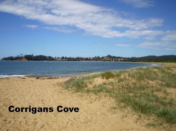 10 Corrigans Crescent, BATEHAVEN NSW 2536, Batehaven - Thumbnail 7