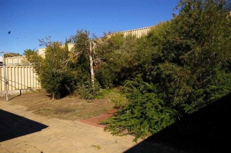 12 Edale Way, WESTMINSTER WA 6061, Westminster - Thumbnail 4