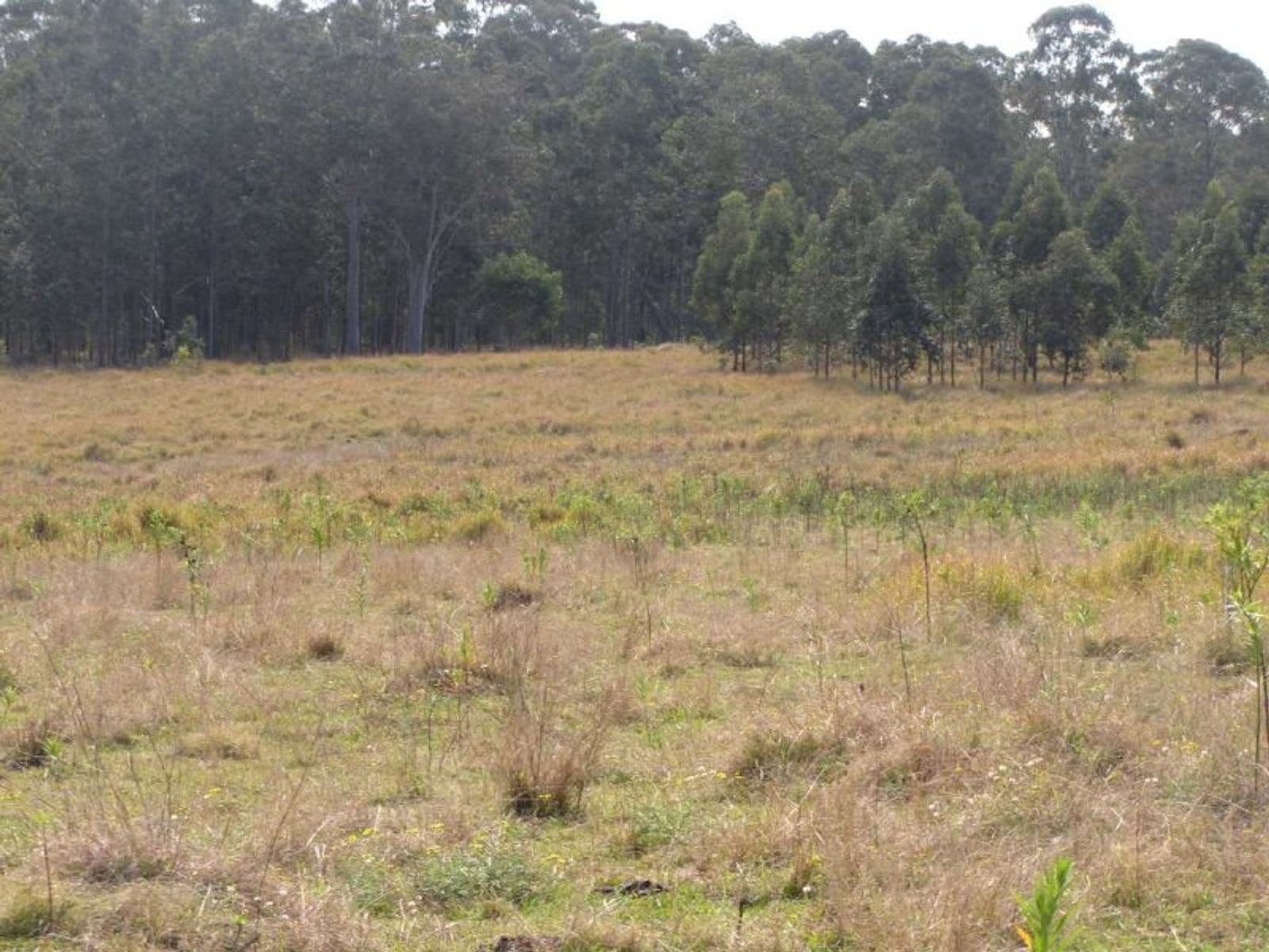 Ellangowan NSW 2470, Ellangowan - Thumbnail 5