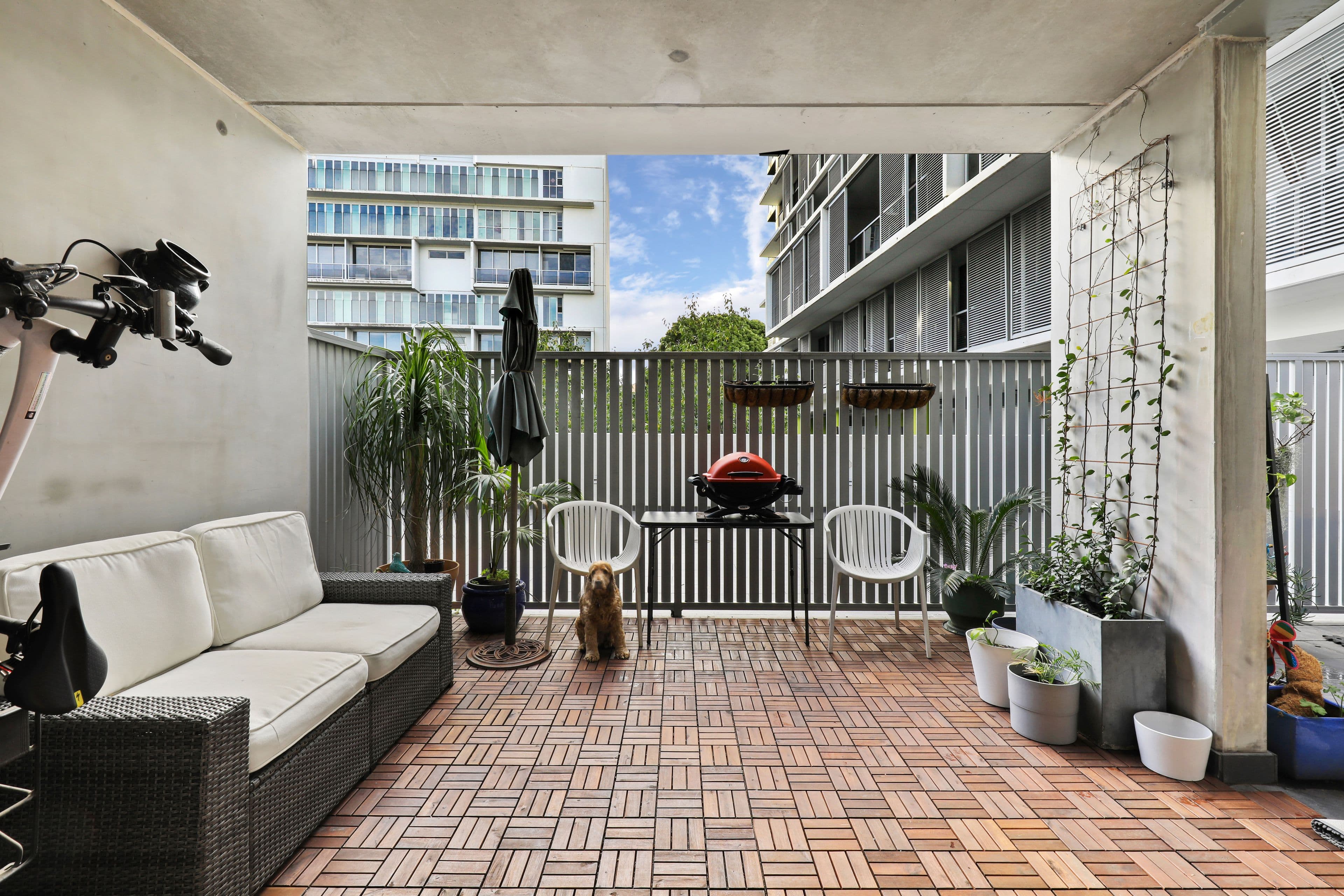 1 Retreat Street, Alexandria NSW 2015, Alexandria - Thumbnail 4