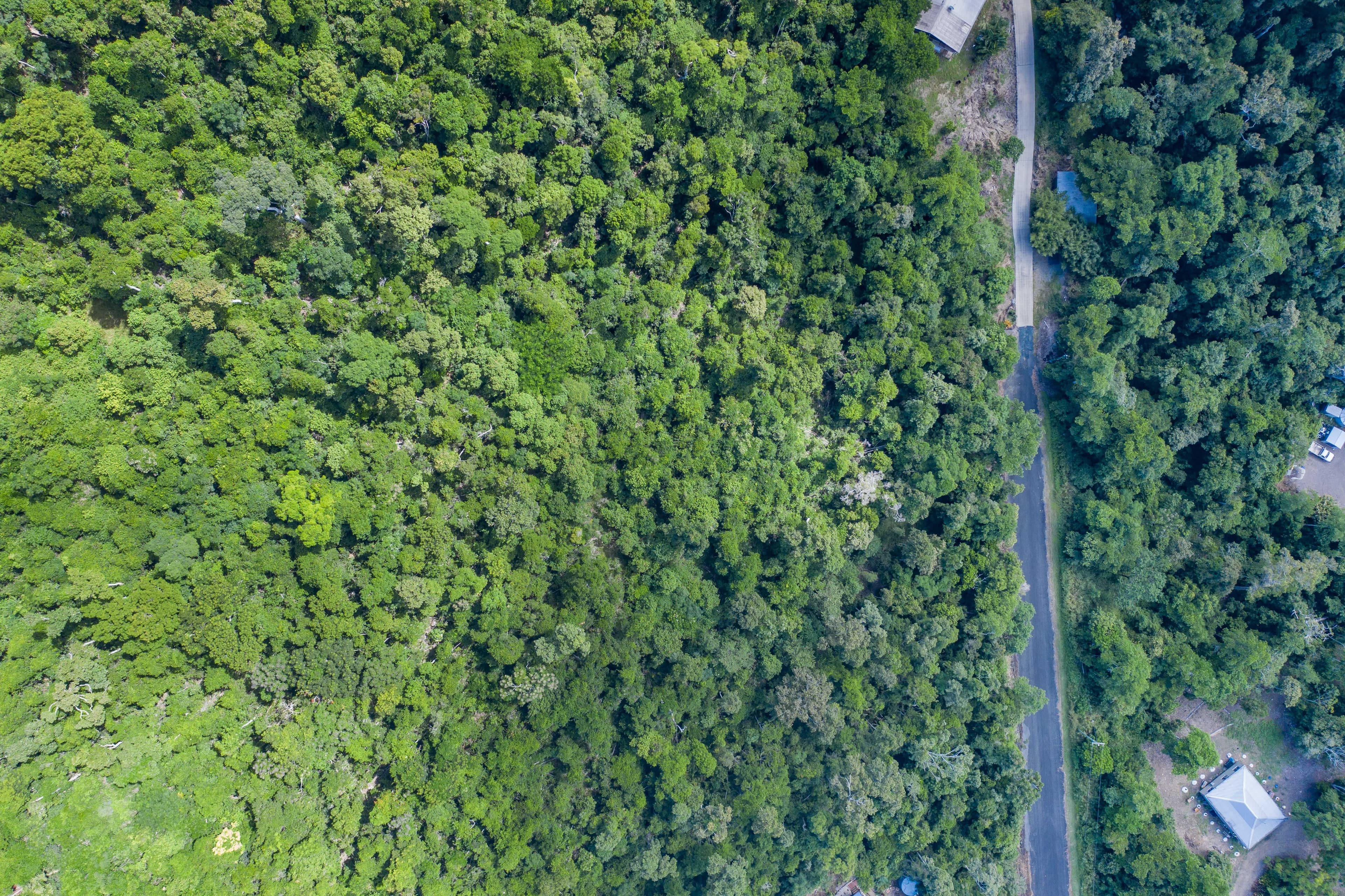 Lot 18 Star Drive, Sugarloaf QLD 4800, Sugarloaf - Thumbnail 6