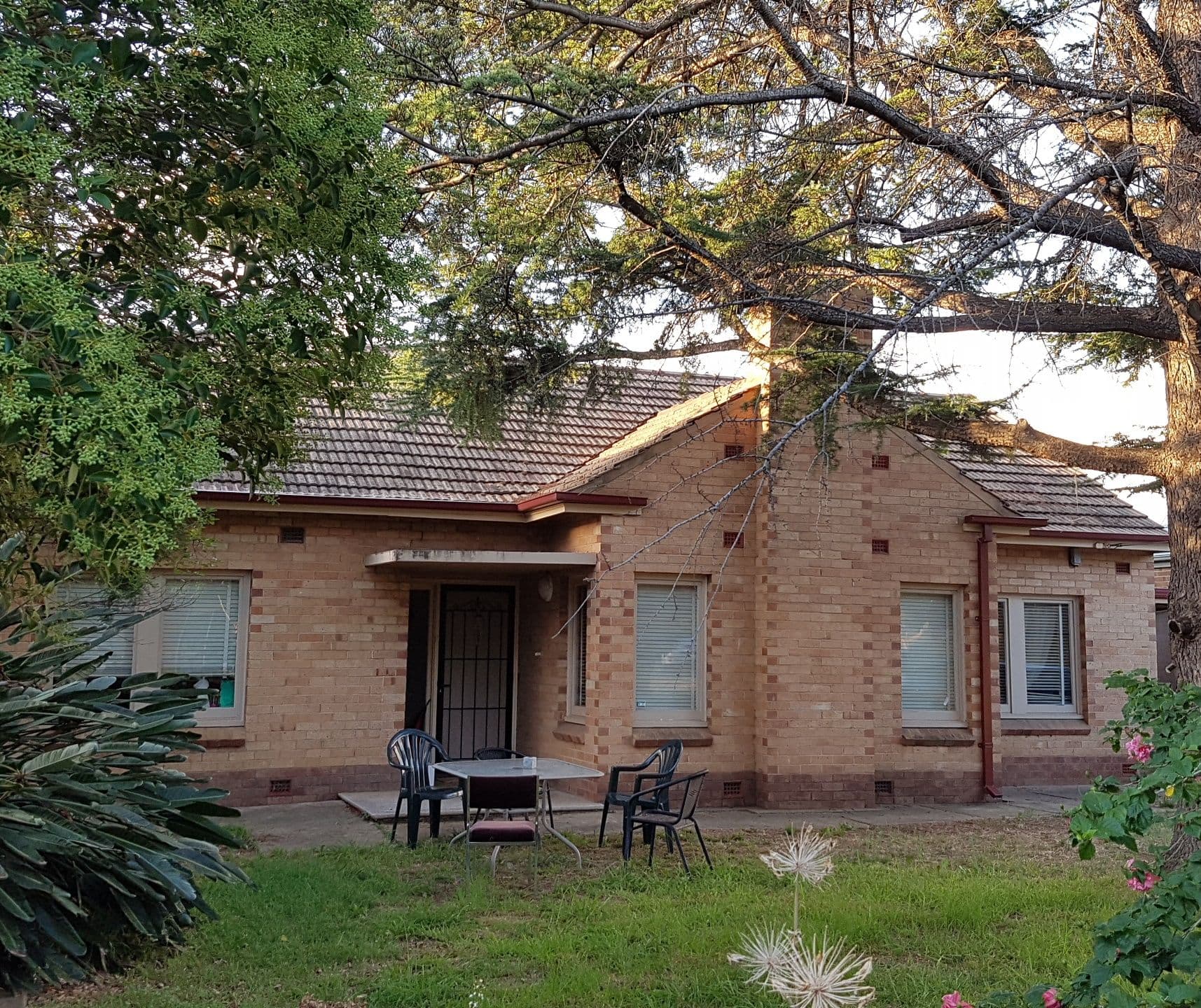 Edwardstown SA 5039, Edwardstown - Image 1