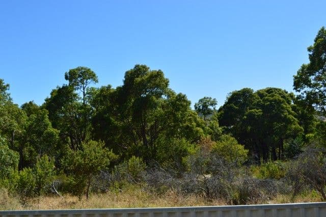 33 Simmental Vale, Stratton WA 6056, Stratton - Thumbnail 8