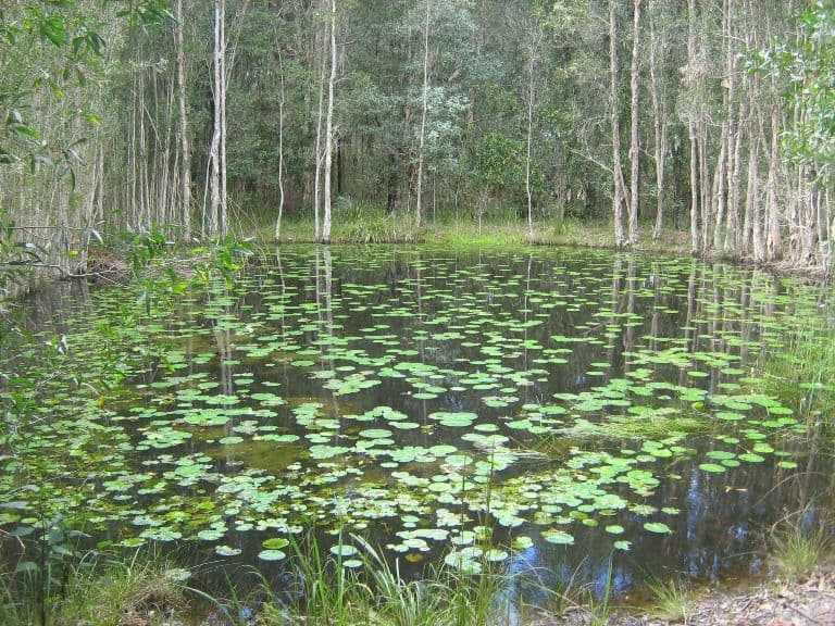 362 James Creek Road, MACLEAN NSW 2463, Maclean - Thumbnail 5
