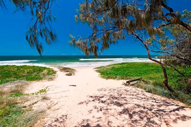 18 Wandarri Street, WURTULLA QLD 4575, Wurtulla - Thumbnail 3