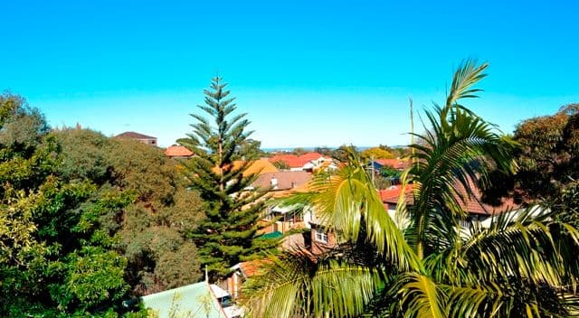 6  Kara Street, RANDWICK NSW 2031, Randwick - Thumbnail 5