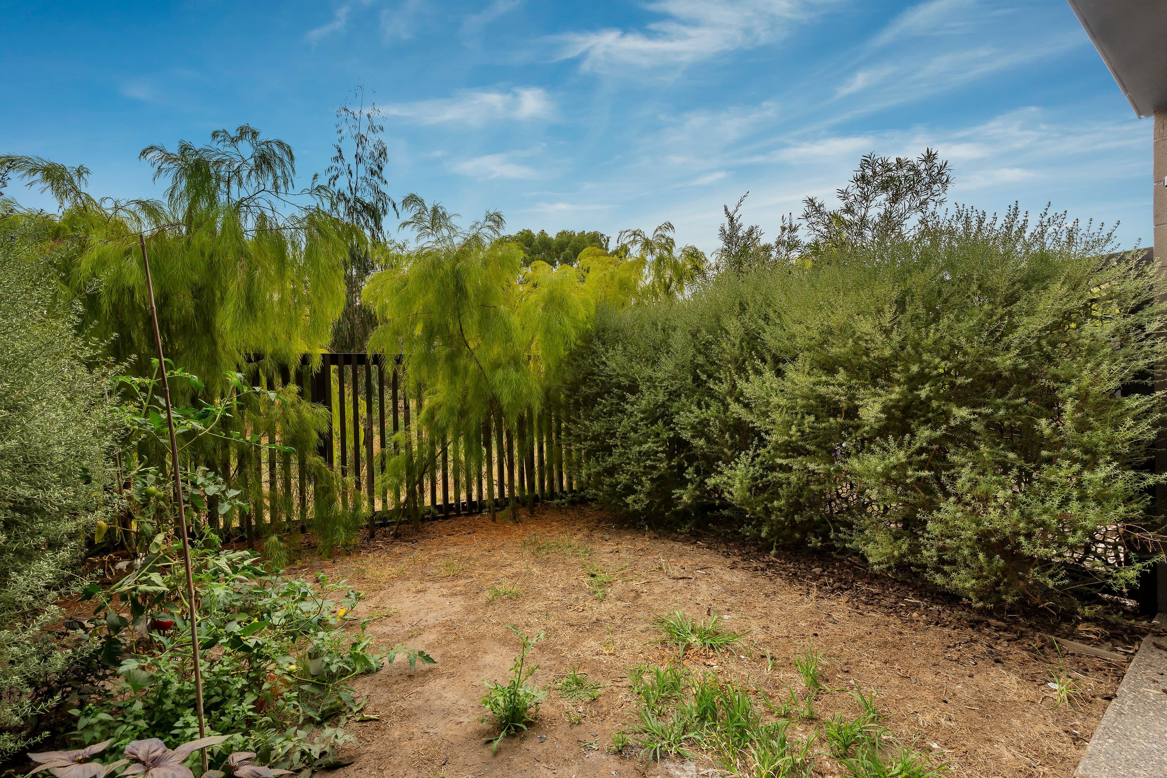 88 Nickson Street, Bundoora VIC 3083, Bundoora - Thumbnail 6
