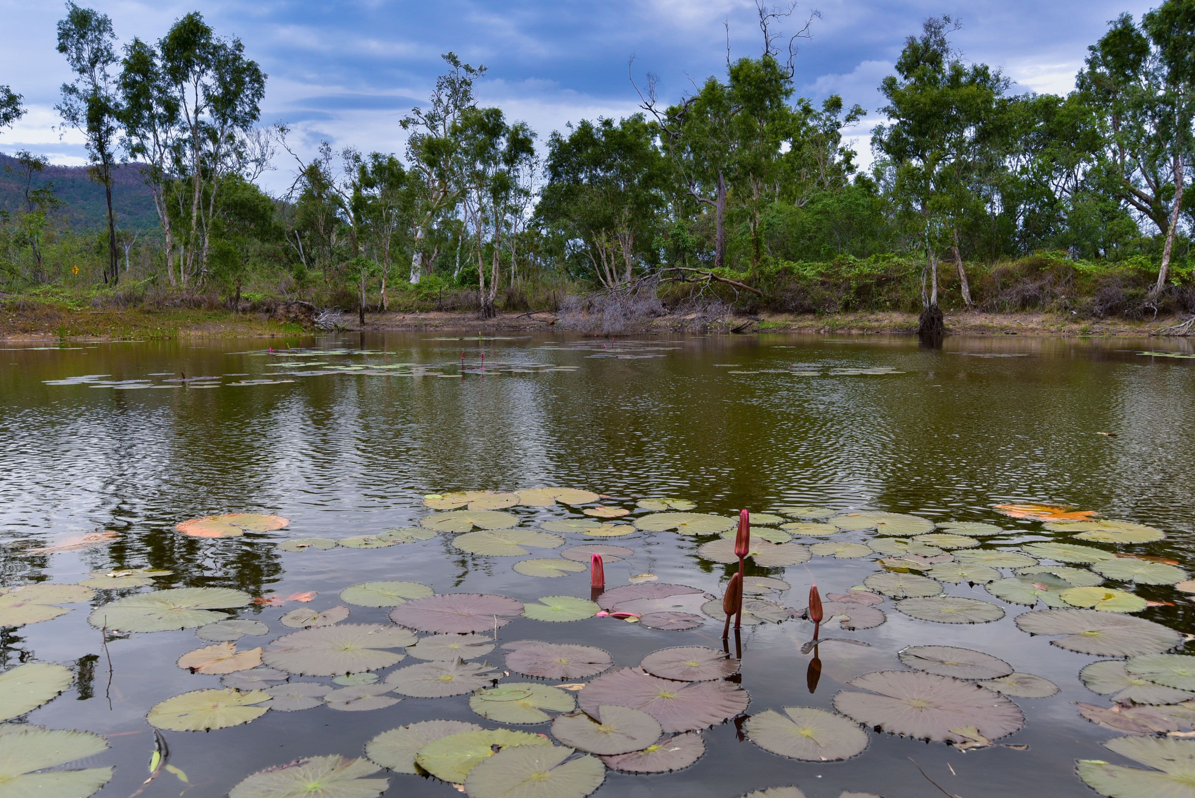 Lot 42 Hideaway Bay Drive, Hideaway Bay QLD 4800, Hideaway Bay - Thumbnail 3