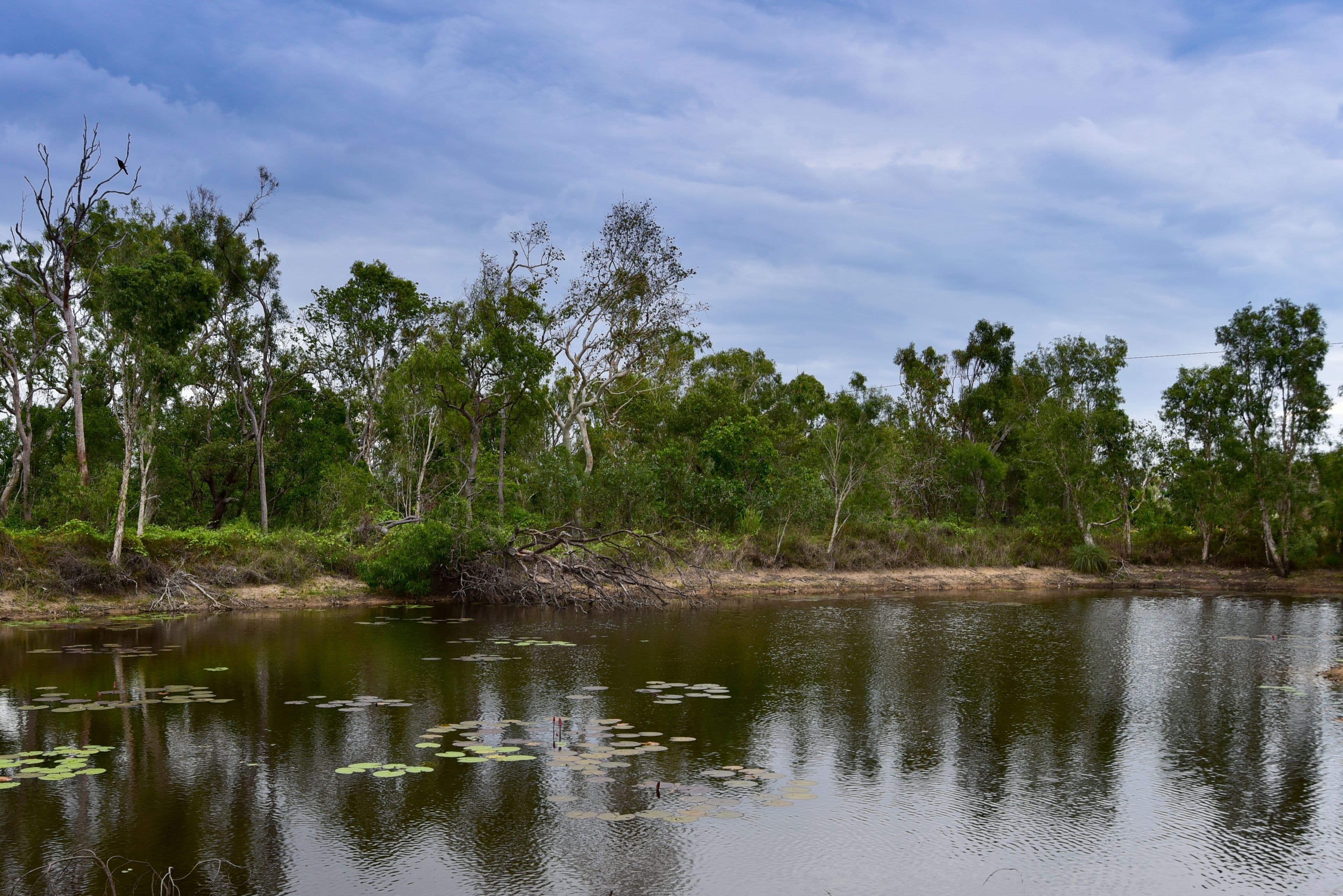 Lot 42 Hideaway Bay Drive, Hideaway Bay QLD 4800, Hideaway Bay - Thumbnail 7