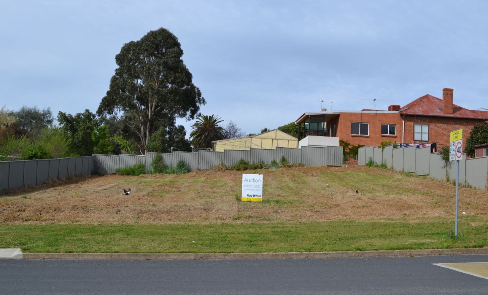 50 Berthong Street, YOUNG NSW 2594, Young - Image 1