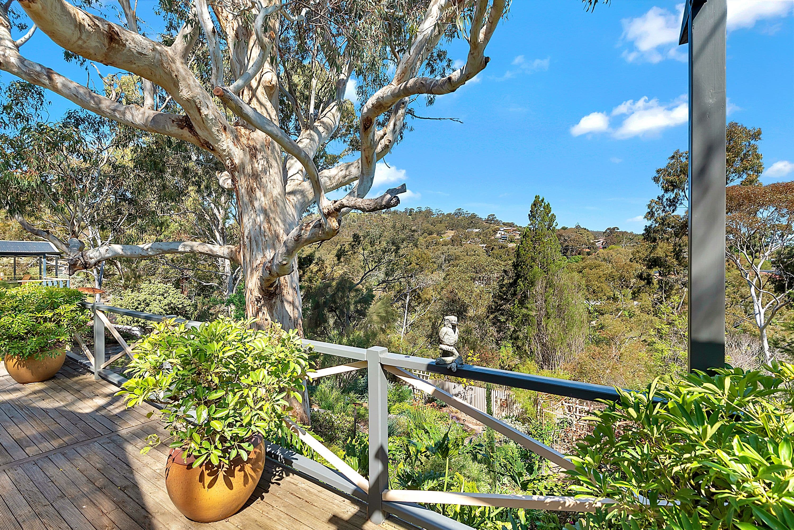 9 Pitanda Road, Banksia Park SA 5091, Banksia Park - Thumbnail 7