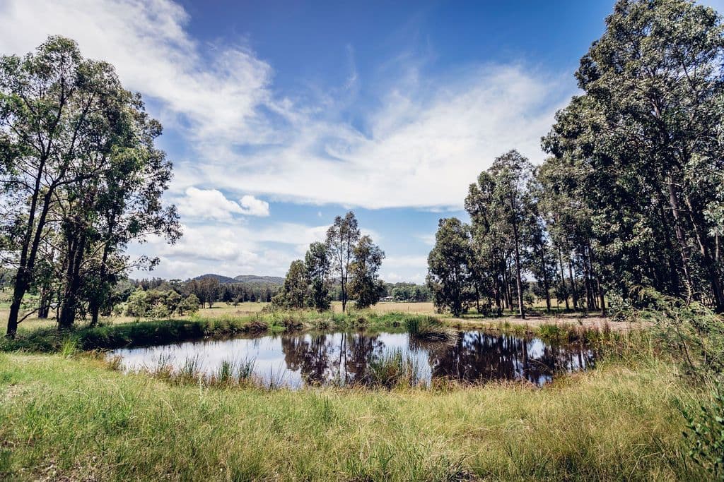 lot 1, 616 East Seaham Road, East Seaham NSW 2324, East Seaham - Thumbnail 5