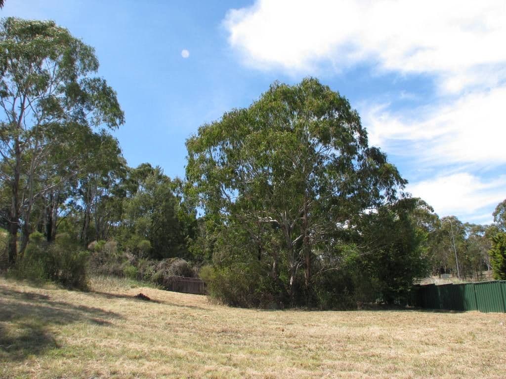 19 Birch Crescent, ARMIDALE NSW 2350, Armidale - Thumbnail 2
