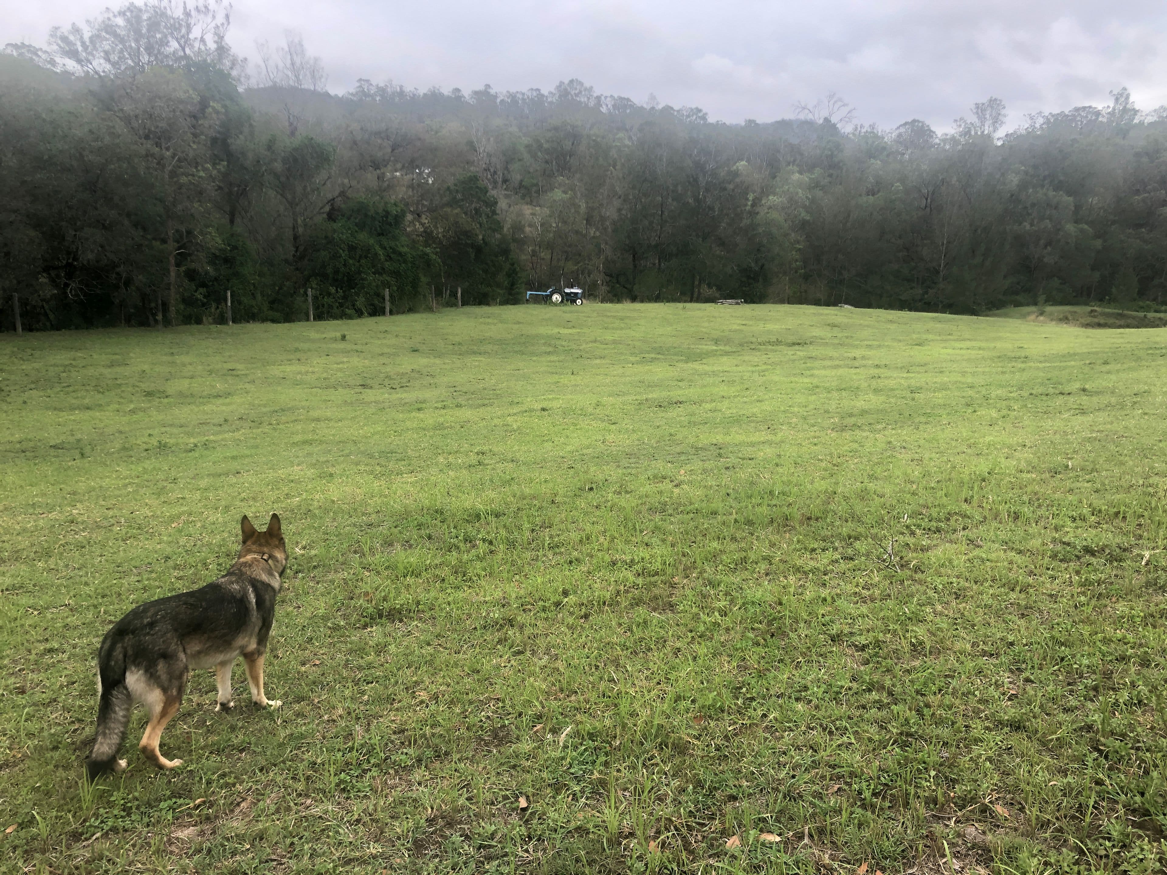 1762 Gaeta Road, Gaeta QLD 4671, Gaeta - Thumbnail 6