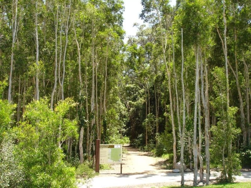 1 Bolwarra Place, MERIDAN PLAINS QLD 4551, Meridan Plains - Thumbnail 2