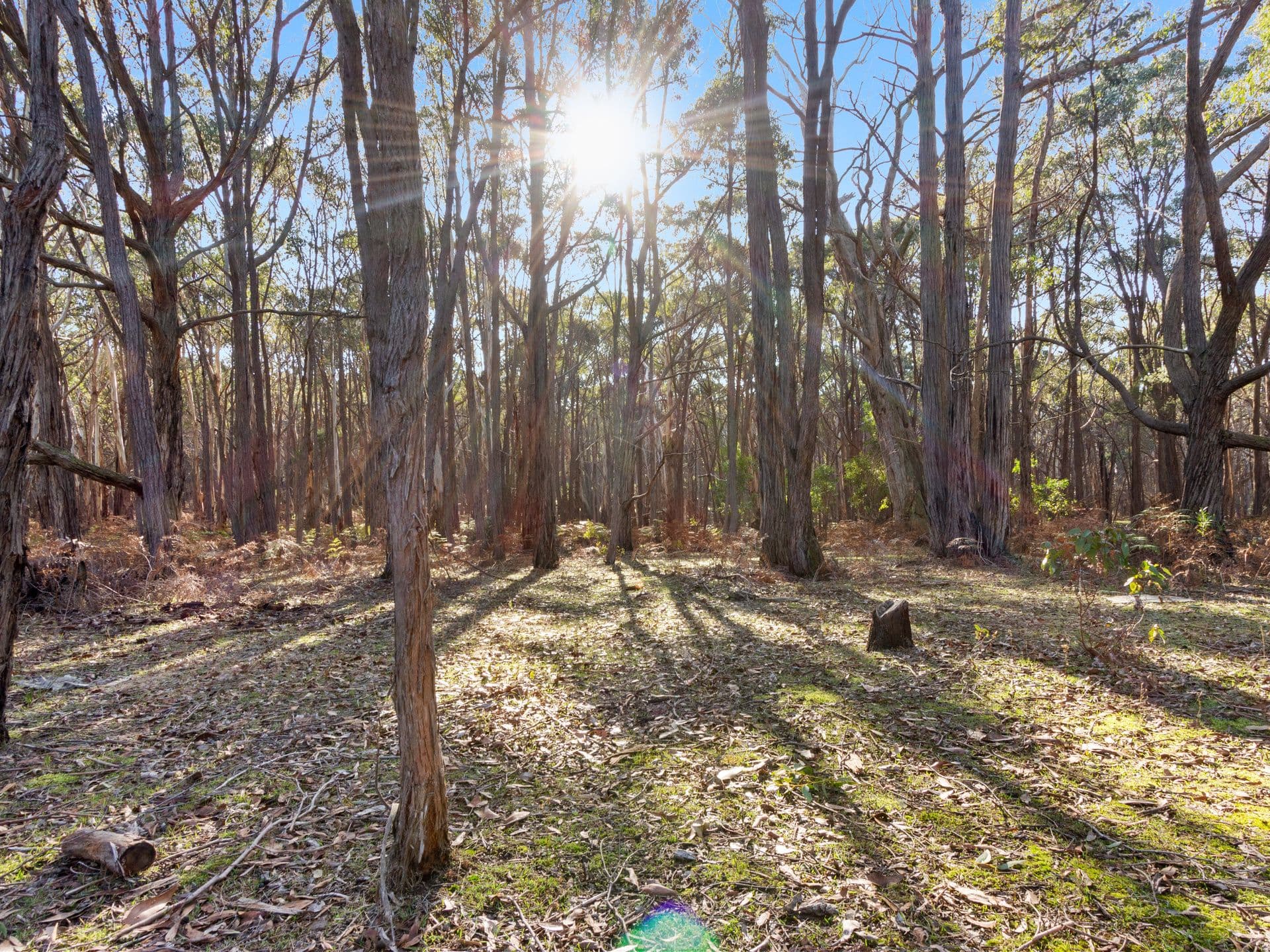 1/1 Hatfield Drive, Drouin, Drouin - Thumbnail 8
