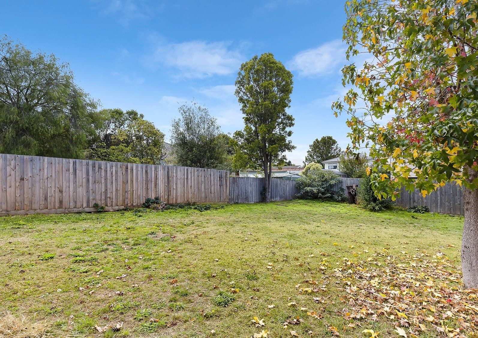 1 Lasiandra Avenue, Nunawading VIC 3131, Nunawading - Thumbnail 8