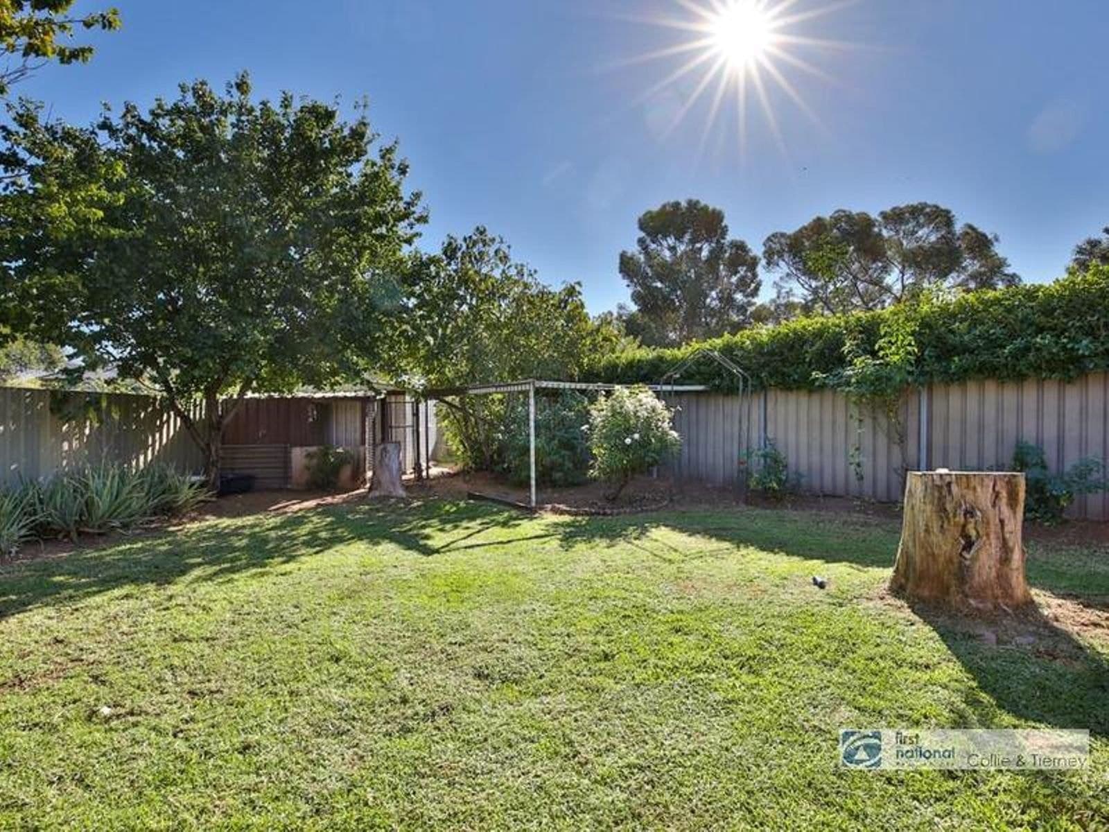 27 Flamingo Drive, Mildura - Thumbnail 8