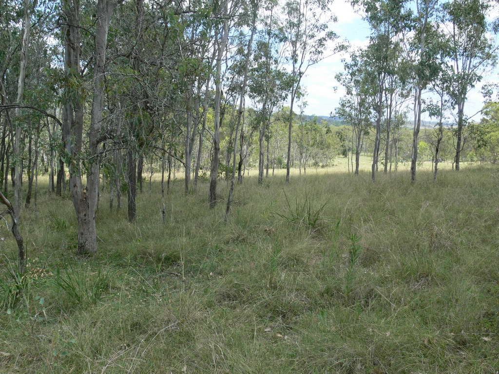 2 Highland Street, Esk QLD 4312, Esk - Image 1
