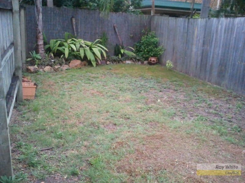 666 Kingsford Smith Drive, HAMILTON QLD 4007, Hamilton - Thumbnail 4