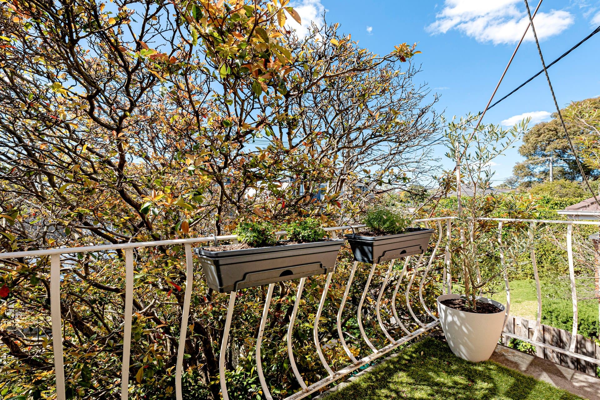 6/5 Gnarwyn Road, Carnegie - Thumbnail 5