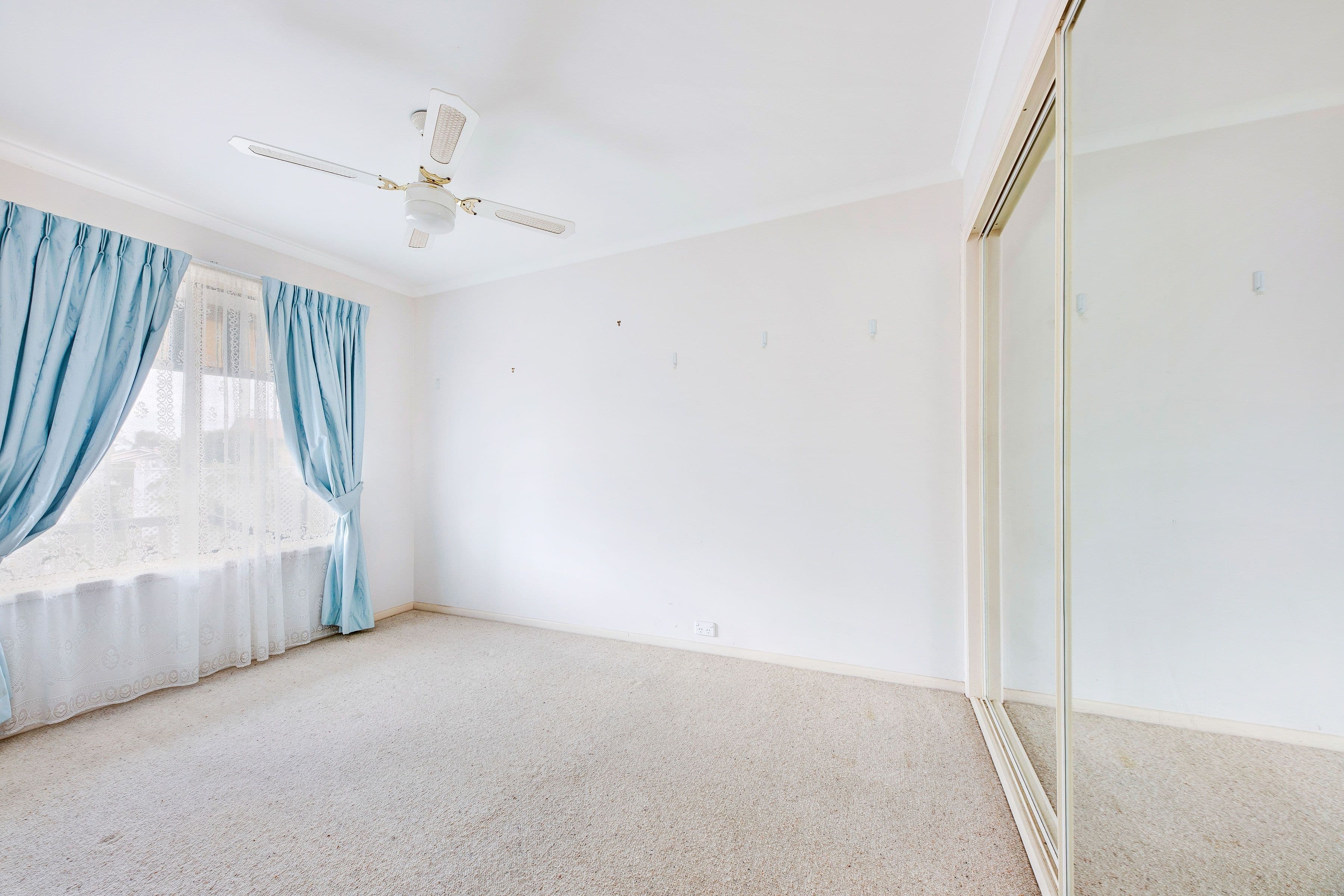 171 David Low Way, Bli Bli QLD 4560, Bli Bli - Thumbnail 6