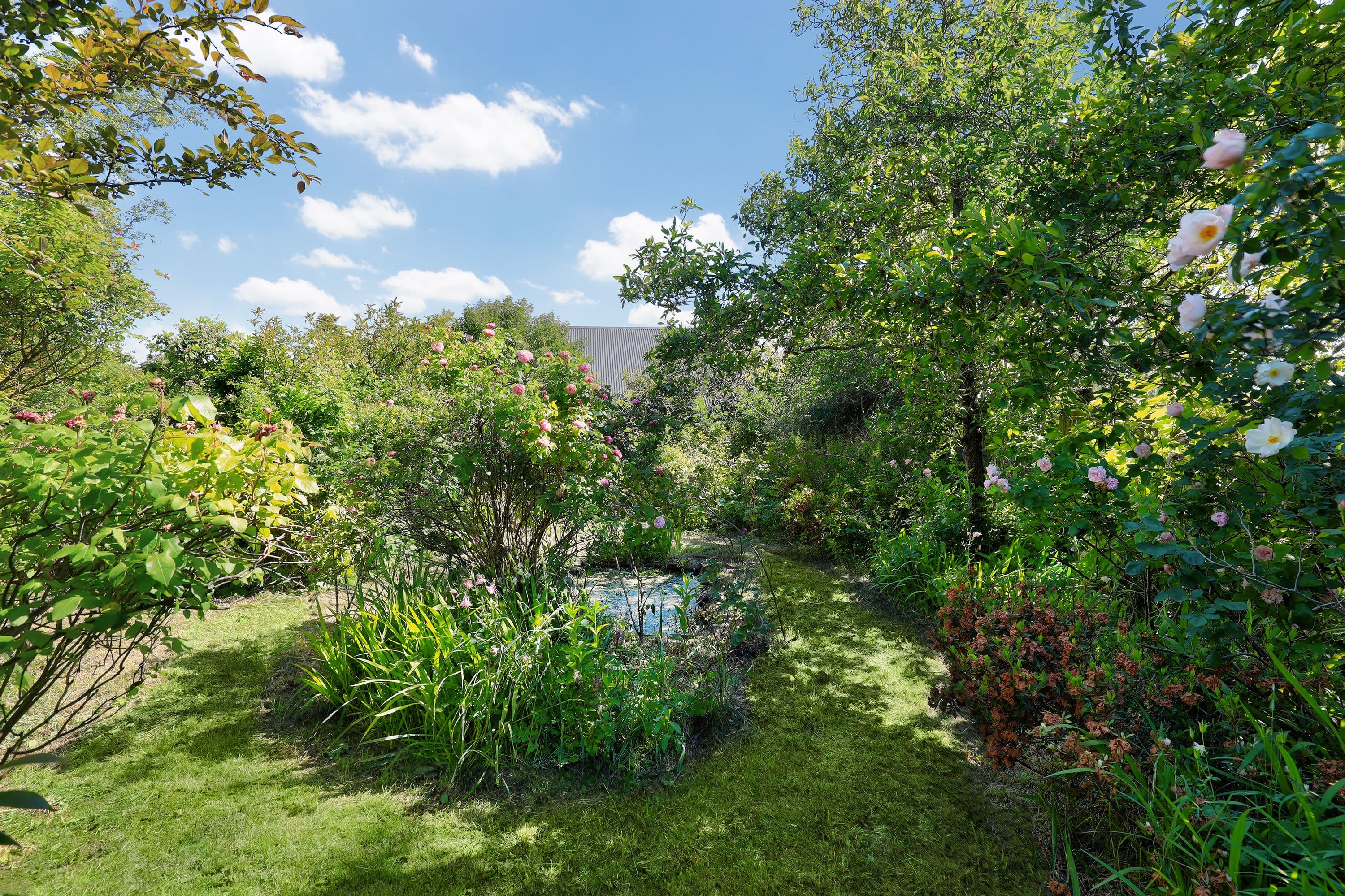 2 Dunmore Street, Katoomba NSW 2780, Katoomba - Thumbnail 7