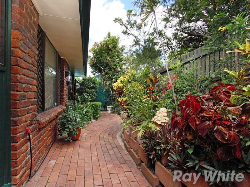 161 Dorville Road, CARSELDINE QLD 4034, Carseldine - Thumbnail 6