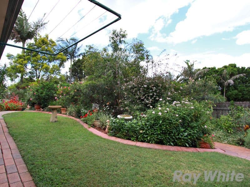 161 Dorville Road, CARSELDINE QLD 4034, Carseldine - Thumbnail 7