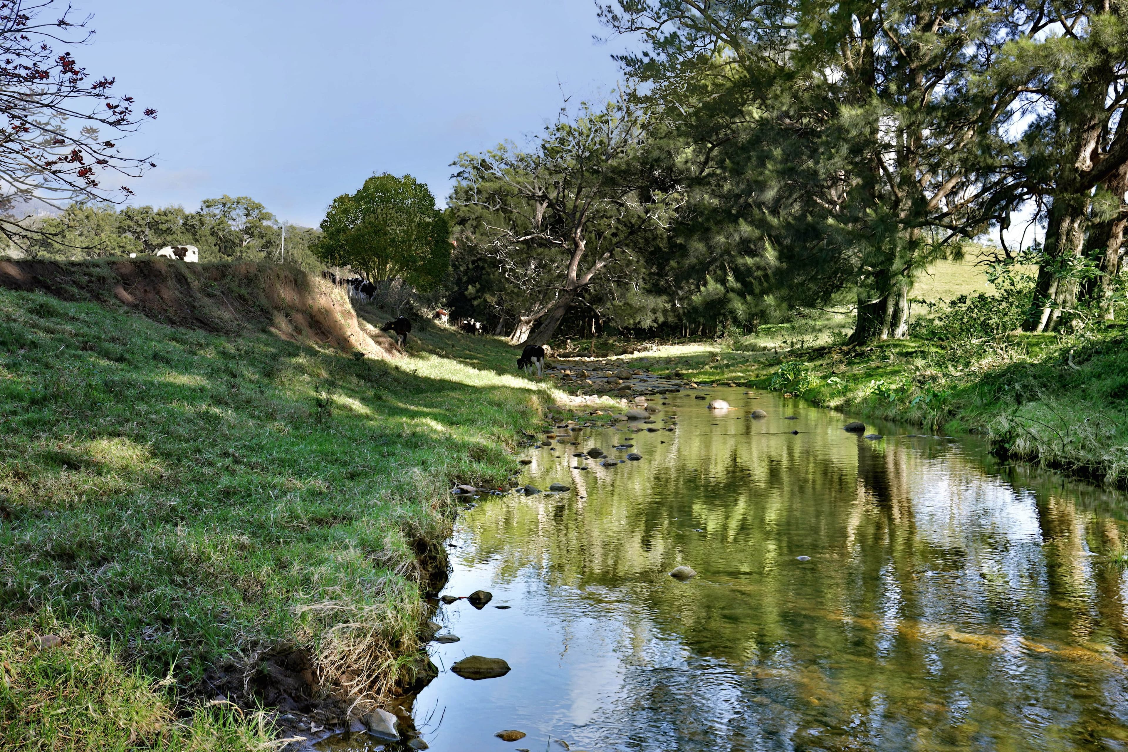 120 Yellow Rock Road, Tullimbar NSW 2527, Tullimbar - Thumbnail 3