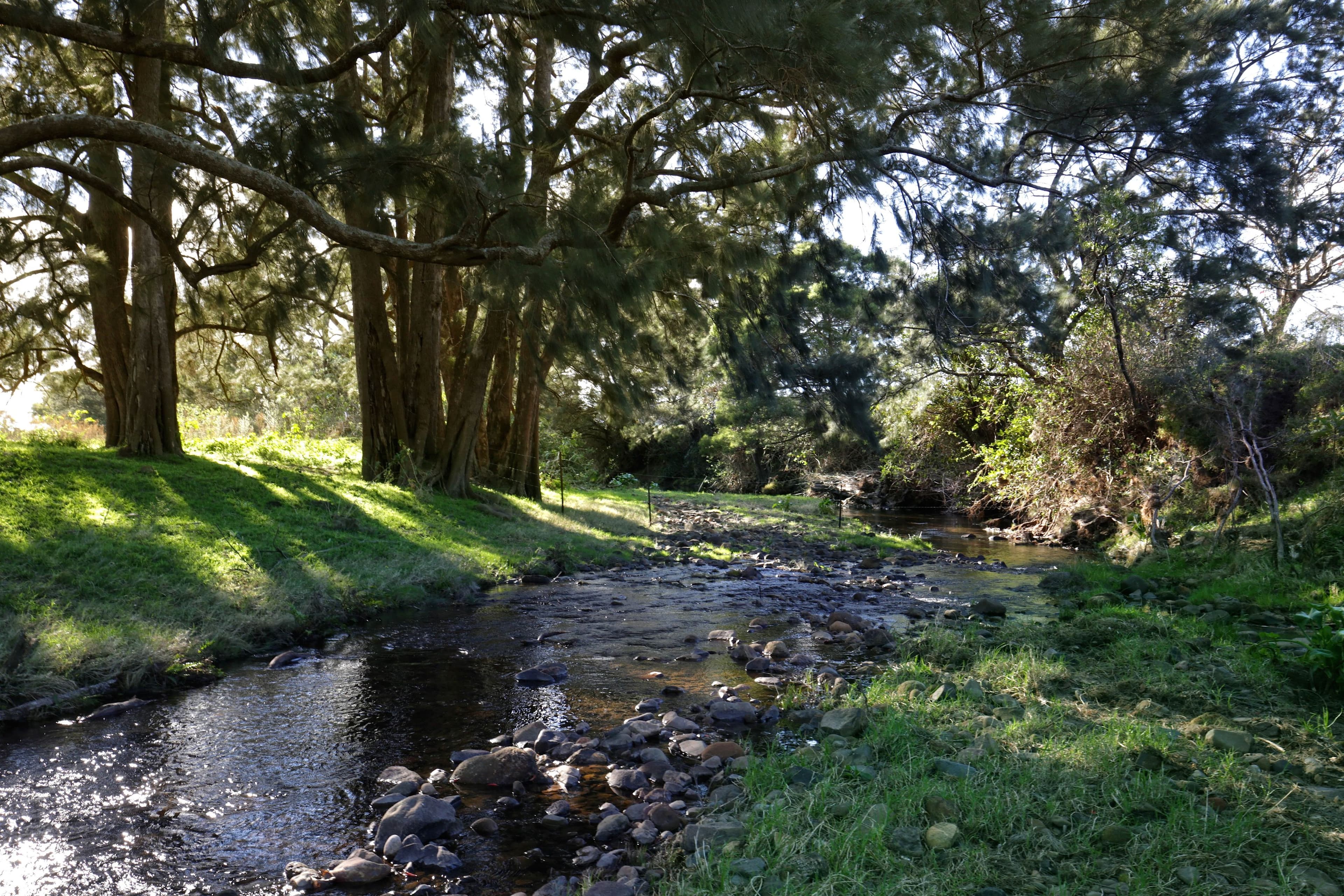120 Yellow Rock Road, Tullimbar NSW 2527, Tullimbar - Thumbnail 4