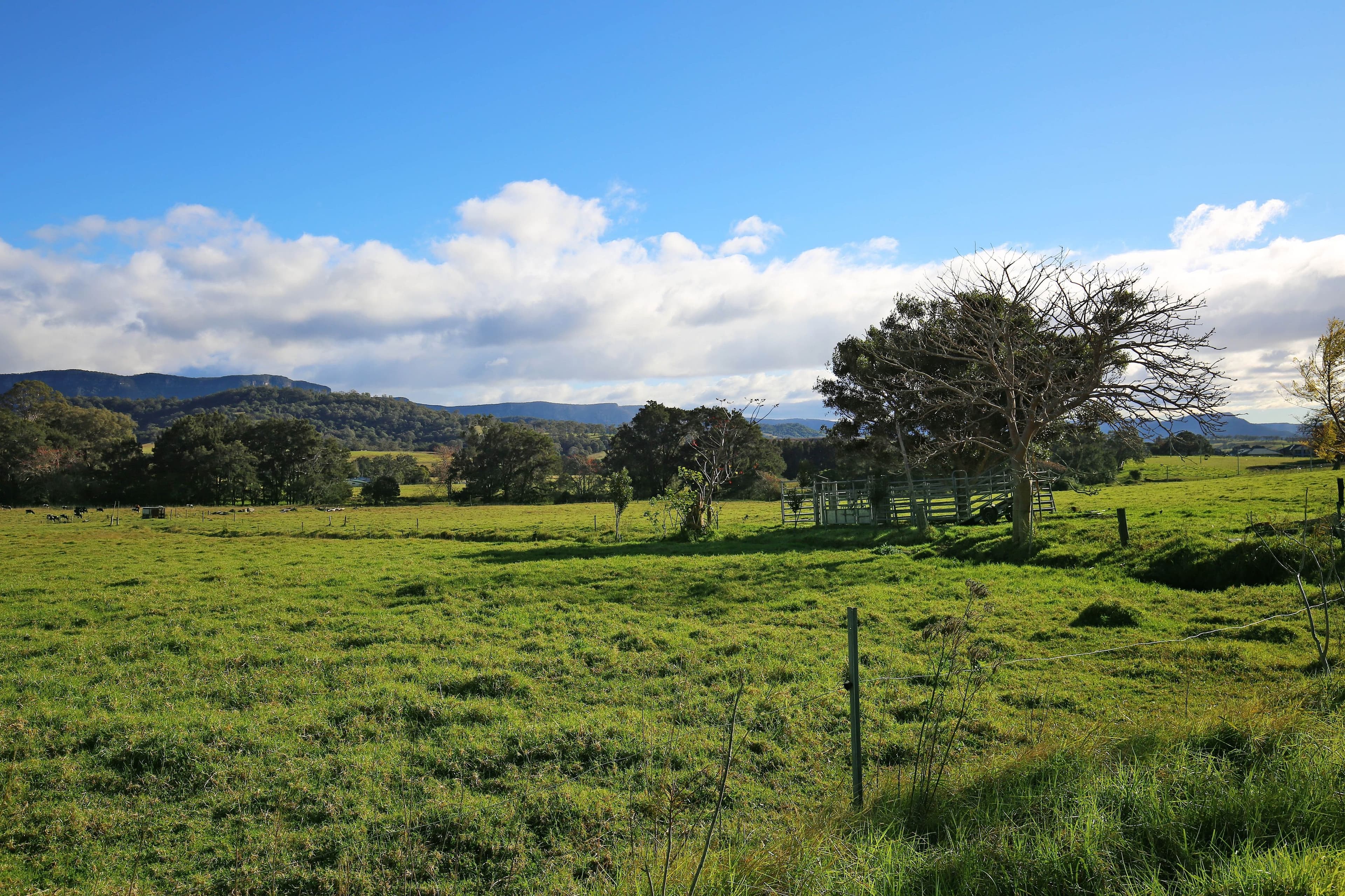 120 Yellow Rock Road, Tullimbar NSW 2527, Tullimbar - Thumbnail 5