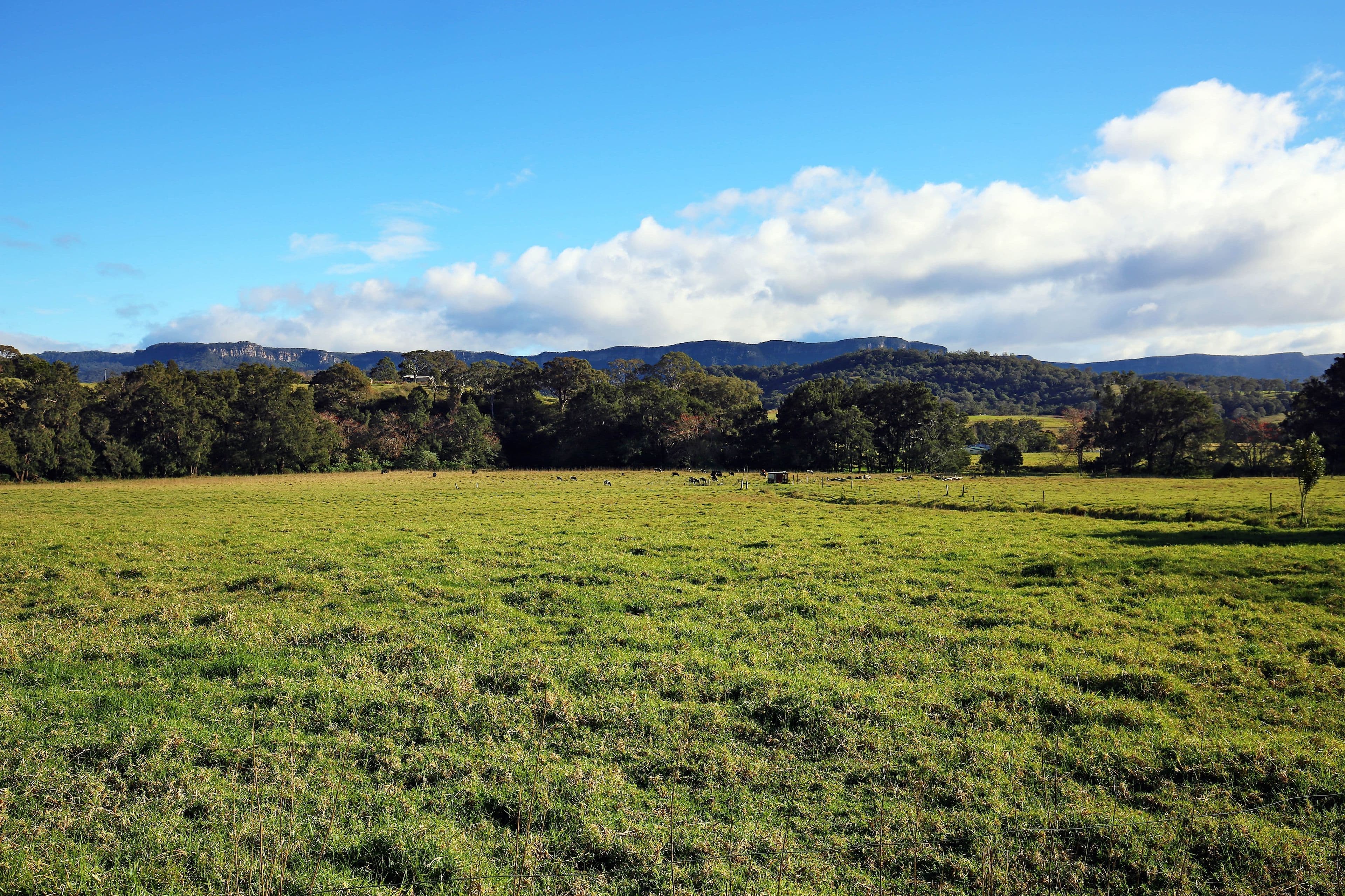 120 Yellow Rock Road, Tullimbar NSW 2527, Tullimbar - Thumbnail 6