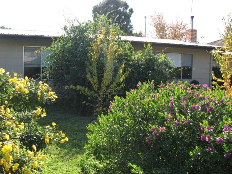 1 McDonnell Street, FORBES NSW 2871, Forbes - Image 1