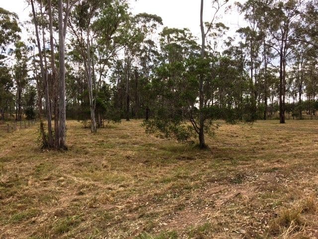 46 Bellbird Drive, Bucca QLD 4670, Bucca - Thumbnail 5