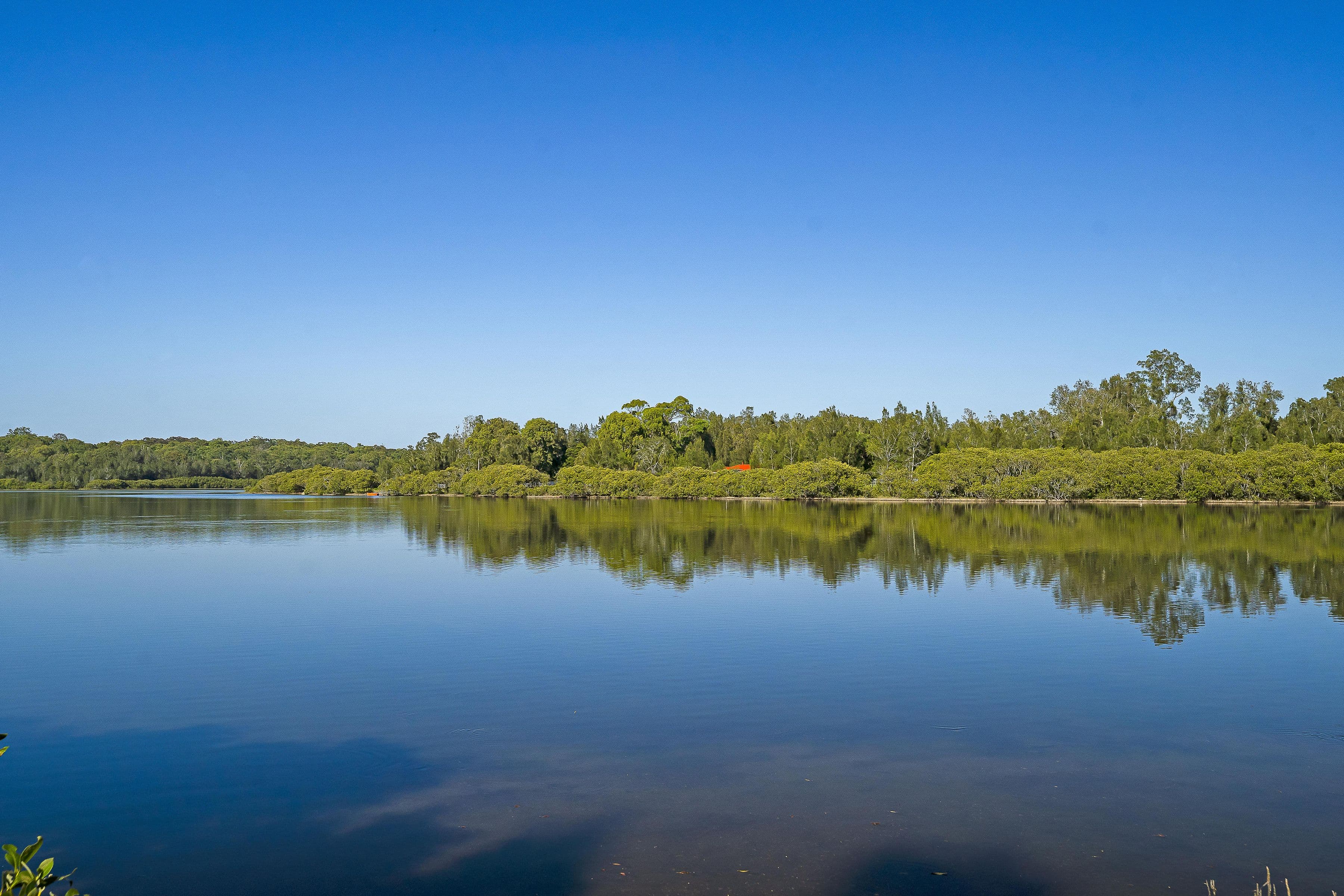 122 Stingaree Point Drive, Dora Creek NSW 2264, Dora Creek - Thumbnail 6