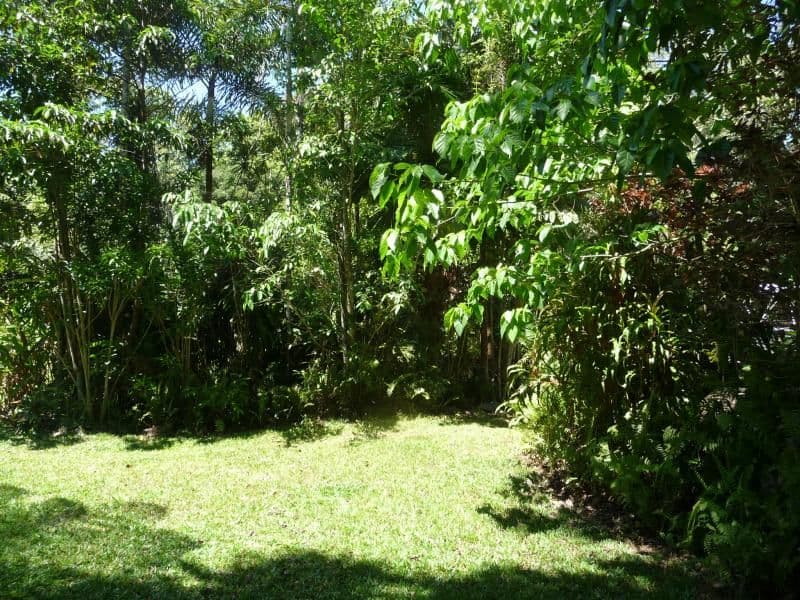 Lot 343 Fig Tree Road, DAINTREE QLD 4873, Daintree - Thumbnail 6