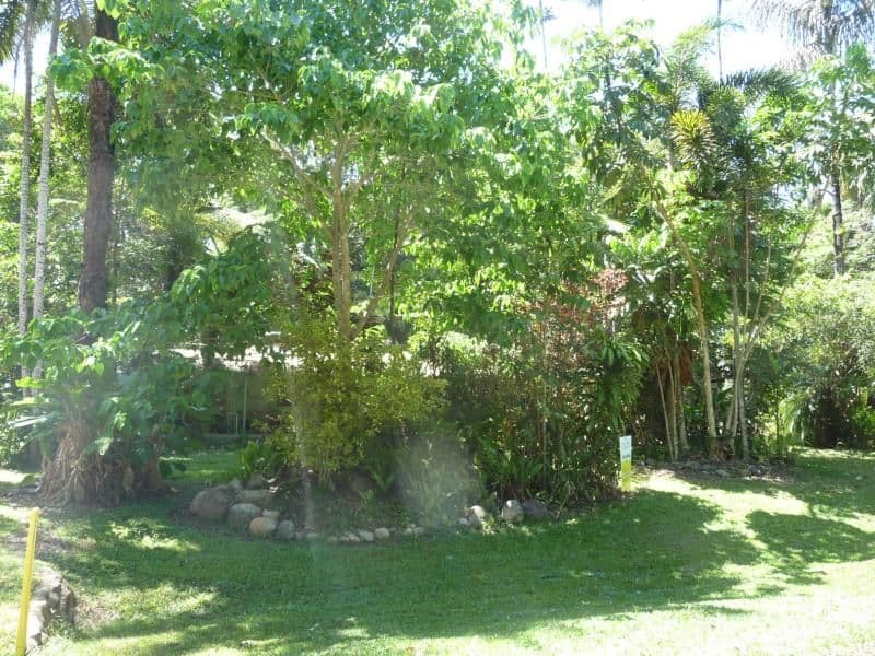 Lot 343 Fig Tree Road, DAINTREE QLD 4873, Daintree - Thumbnail 8