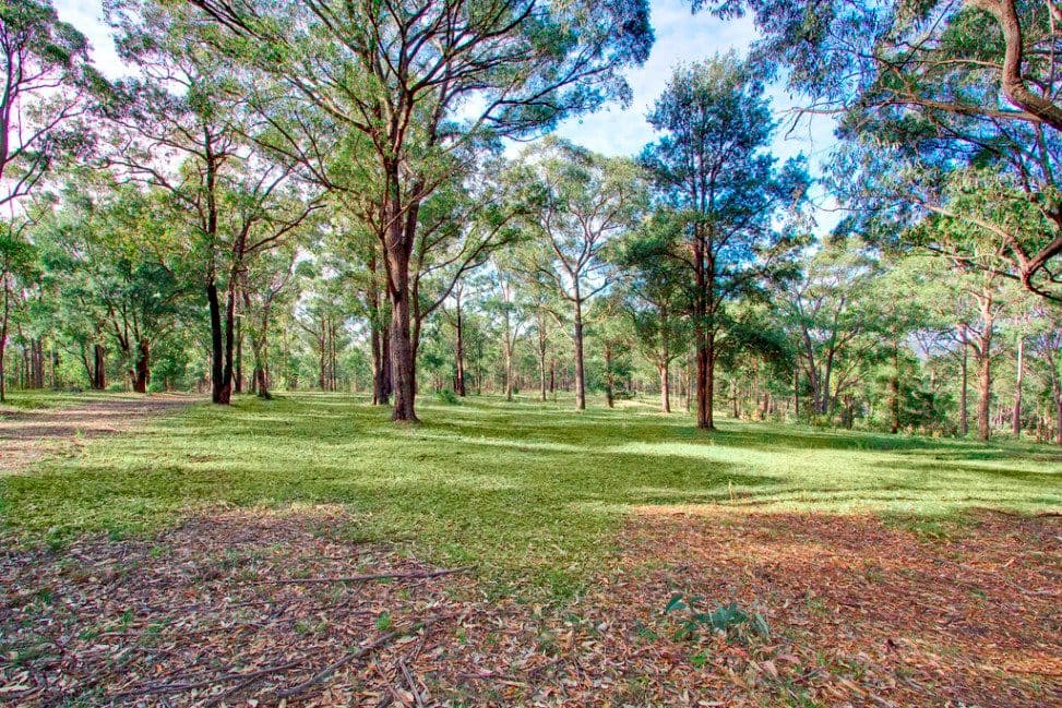 188 Mahons Creek Road, Yarramundi NSW 2753, Yarramundi - Thumbnail 4
