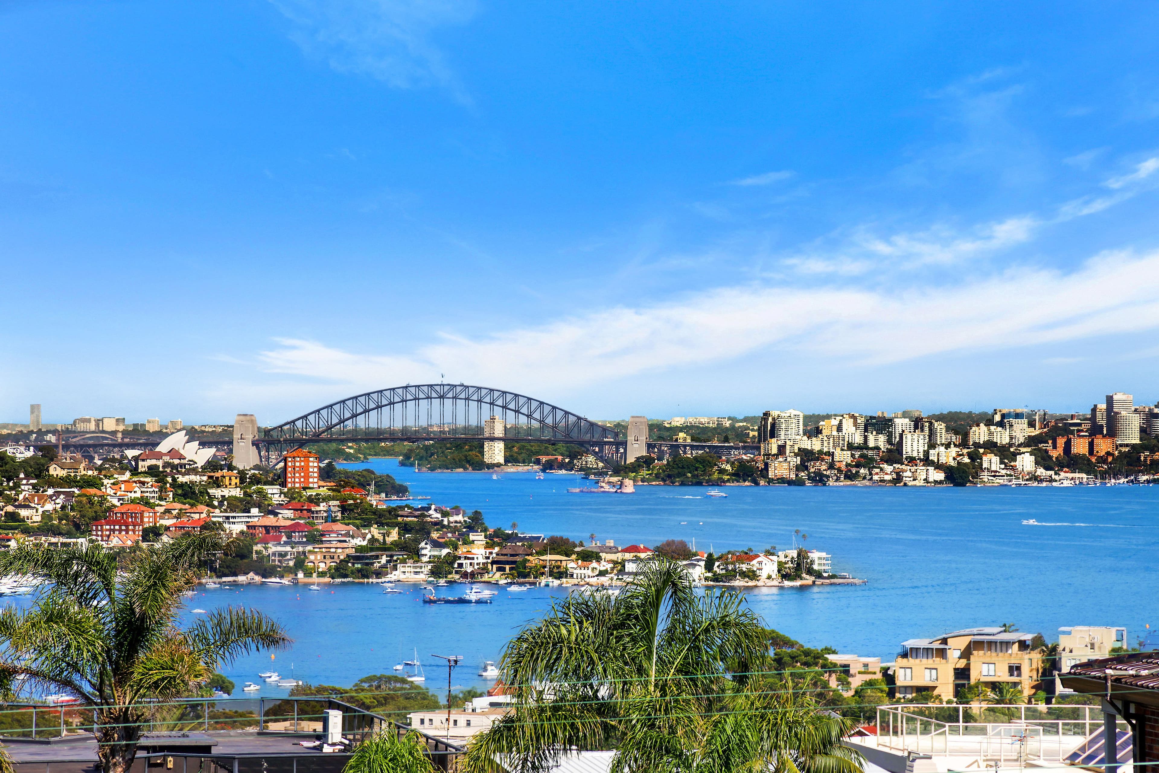 147 Military Road, Dover Heights - Thumbnail 5