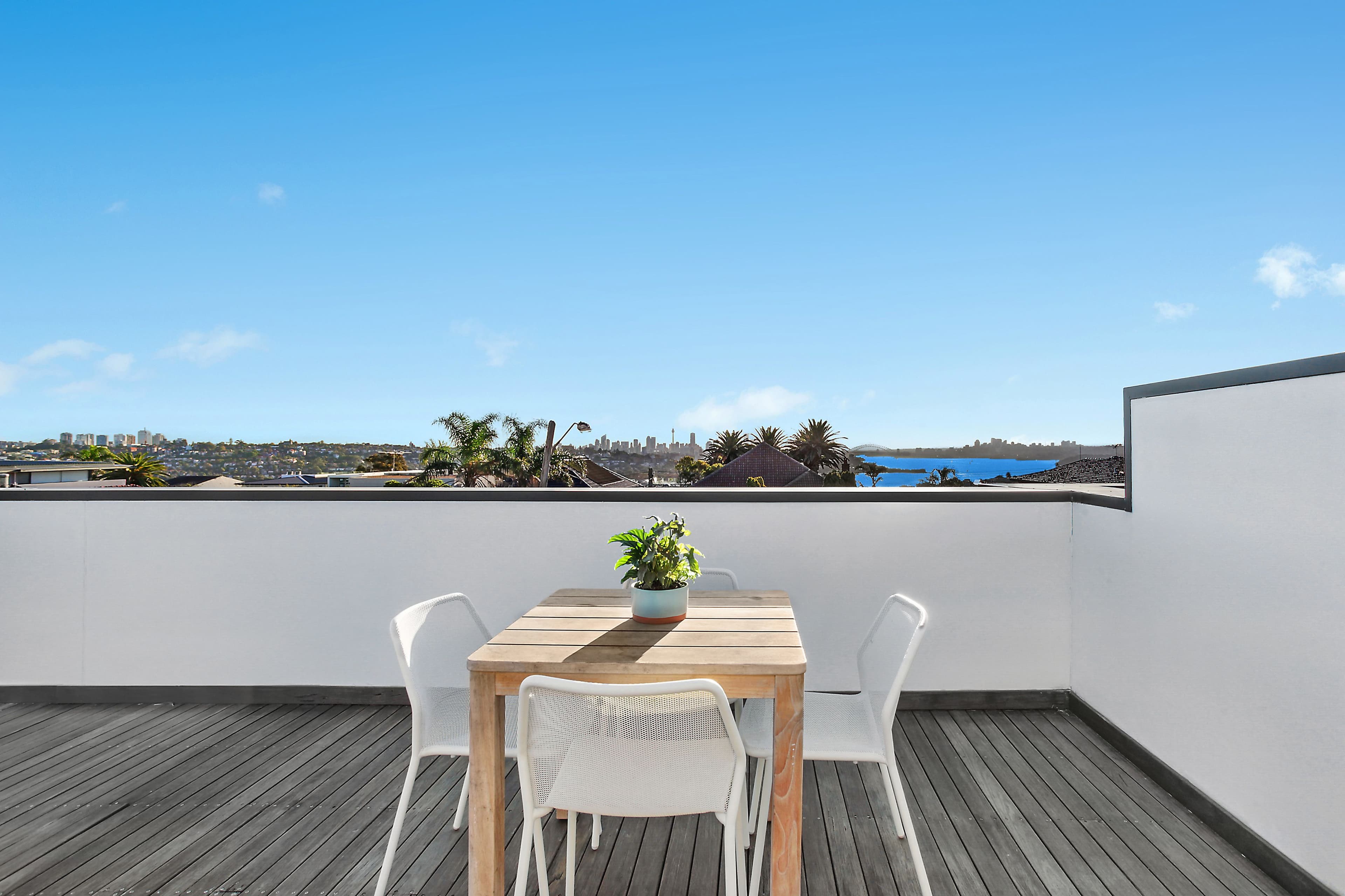147 Military Road, Dover Heights - Thumbnail 6