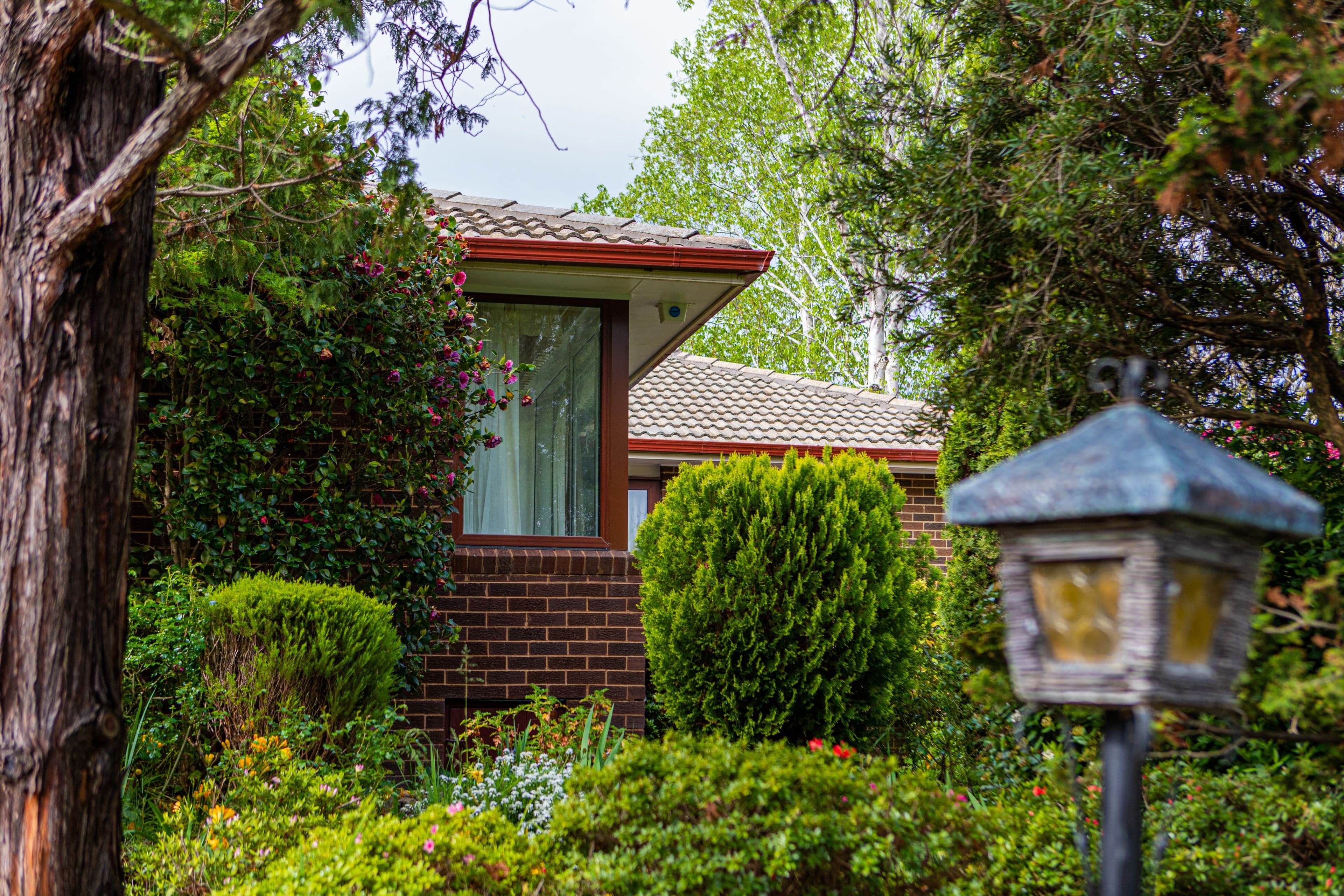 11 Messenger Street, Holt ACT 2615, Holt - Thumbnail 2