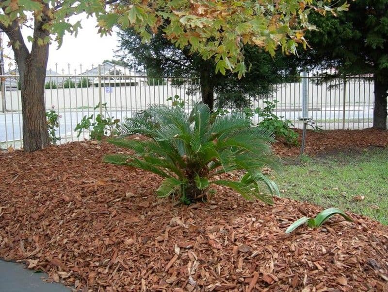 75 Reservoir Road, MODBURY SA 5092, Modbury - Thumbnail 7