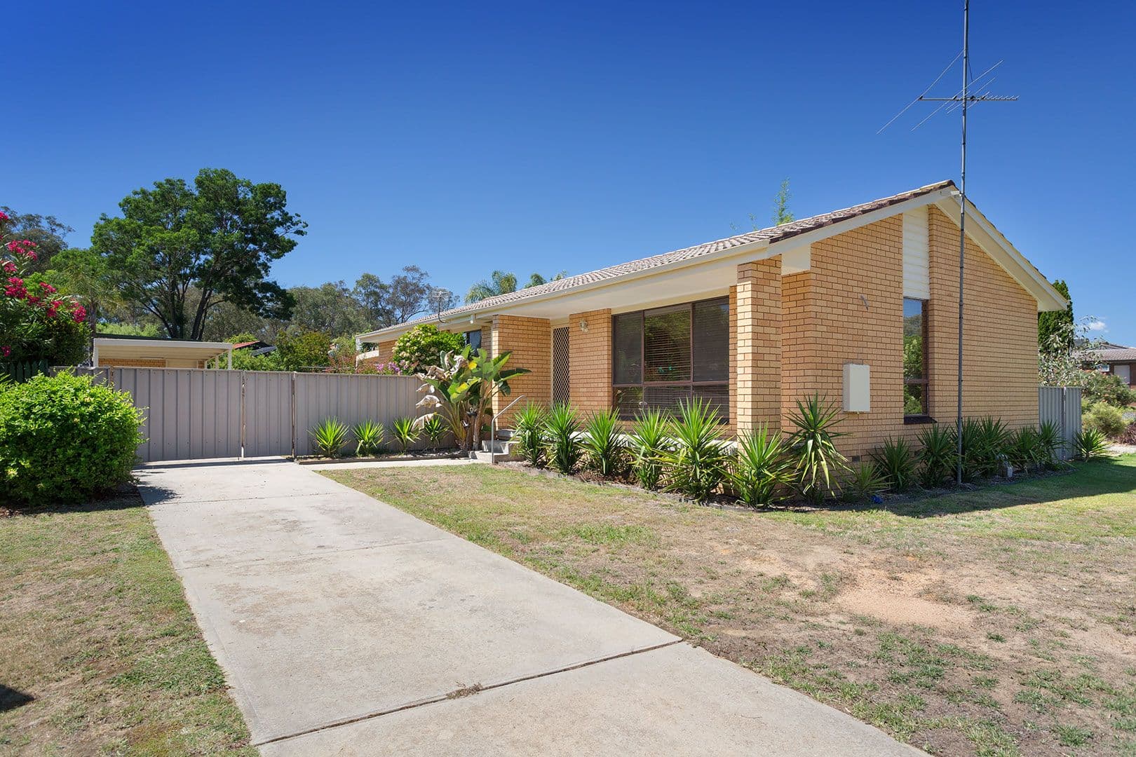 3 Lacebark Court, Thurgoona - Image 1