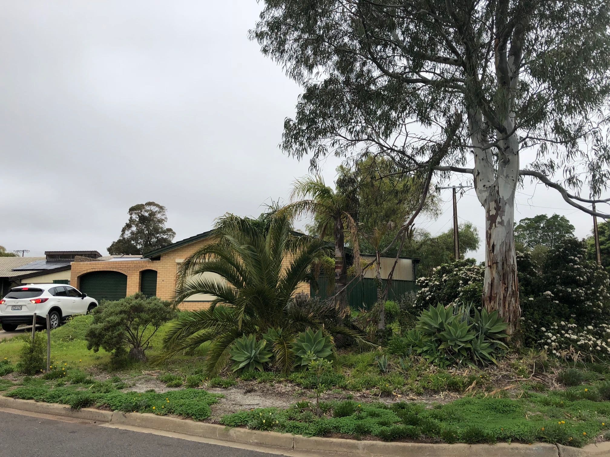 5 Marston Drive, Morphett Vale SA 5162, Morphett Vale - Thumbnail 2